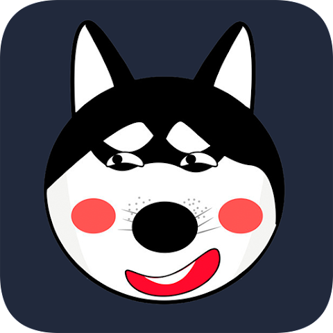 小哈vp n破解版